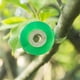 thumbnail image 5 of 5garden Grafting Straps Fruit Tree Self-adhesive Wrapping Film, 5 of 5