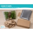 thumbnail image 5 of Canton Aquatics Assorted Live Aquarium Plant Bundle, 6 Plants, 6-12 In, 5 of 10