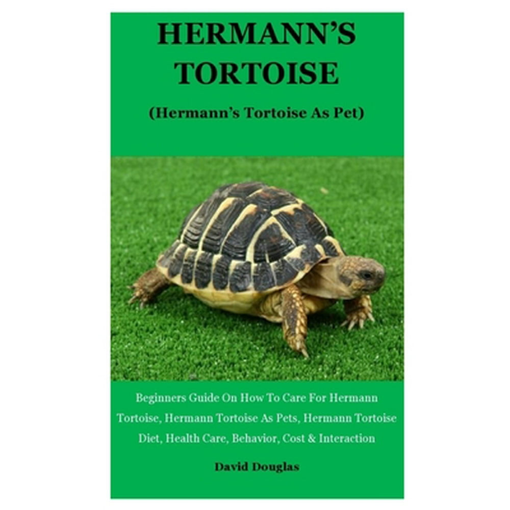 Hermann's Tortoise Beginners Guide On How To Care For Hermann Tortoise, Hermann Tortoise As