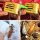 thumbnail image 5 of Billuyoard Seguro para marcar el receptor para una identificación precisa de las abejas reina que crían el receptor de marcado de abeja reina Jardín y Patio verde, 5 of 6
