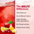 thumbnail image 6 of Milo's Fruit Punch - 128 fl oz, 6 of 12