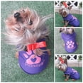 thumbnail image 2 of Jersey para perro o gato Mi Baúl Morado Talla 1, 2 of 4