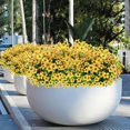 thumbnail image 7 of ZOELNIC 12 Bundles Artificial Fake Flowers Outdoors, Realistic UV Resistant Faux Plants with Silk Flowers for Outside Planters Window Box Front Porch Summer Decoration, 7 of 7