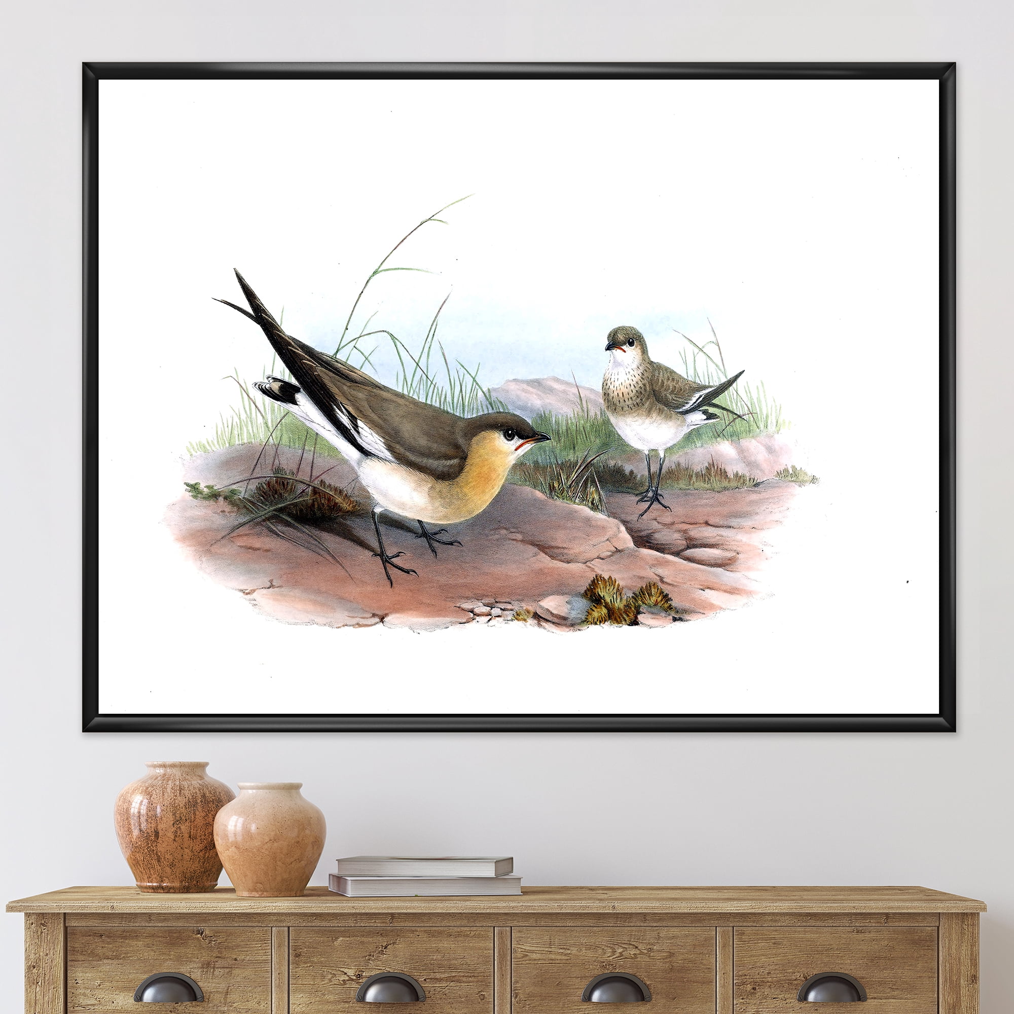 Designart 'Ancient Bird Illustration II' Farmhouse Framed Canvas Wall Art Print