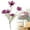 Rose Pink, variant on 6Pcs Artificial Flowers, Artificial Five-Headed Daisies, Uv-Protected Outdoor Artificial Flowers with Stems, Suitable for Wedding Decorations, Home Garden Decorations. 1Pc White with Pink Edges