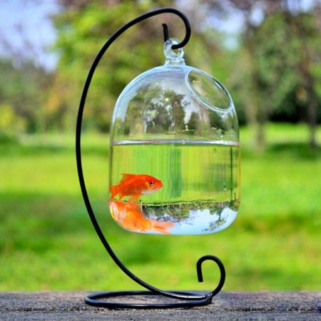 Sunfire Glass Vase - Hydroponic Wall Hanging Bubble Aquarium Fish Glass Vase Tank Plant Home Decor