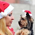 thumbnail image 5 of Pet Santa Hat Christmas for Dogs Cats Holiday Party Festival Dress Up Supplies, 5 of 8