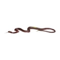 thumbnail image 1 of DOMELAY Scary Fake Snake Toy Educational Toy Gift Creative Fun Versatile Halloween Snake Brown, 1 of 9