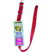 Angle View: New Petmate 15356 Collar Nylon 5/8 By 14 Inch Red, 1 Each