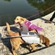thumbnail image 4 of Chaleco Salvavidas para perros JM Sirena XL flotación ajustable con asa, 4 of 5