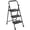 Black, variant on CONCETTA 28 Inch Iron Stepstool, 2 Folding Stepstool with Non-Slip Pedals and Comfortable Handrails, Sturdy Steel Ladder Portable Heavy Duty Stepstool for Kitchen, Garage and Outdoor Use, Black