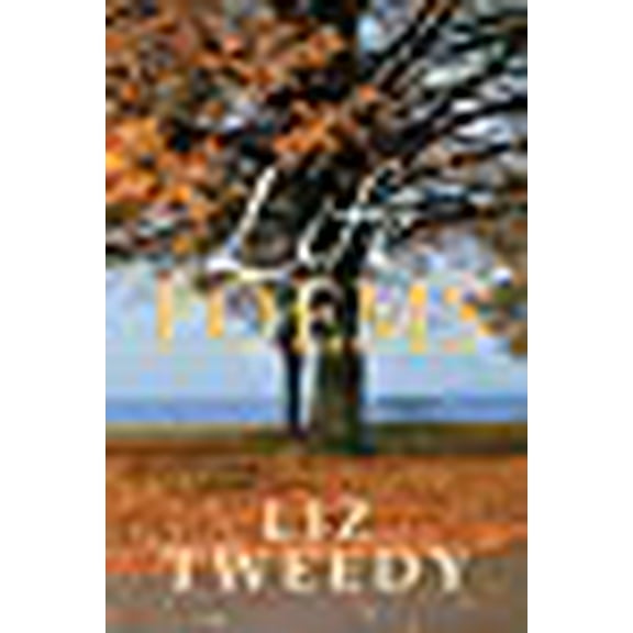 Life Poems: A Guide on Living Your Life by Learning from My Examples (Paperback)