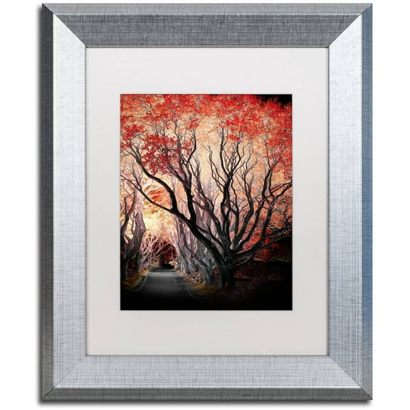 Trademark Fine Art "Powerful One" Canvas Art by Philippe Sainte-Laudy, White Matte, Silver Frame