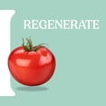 thumbnail image 4 of Itinera Regenerating Liquid Soap (12.51 Fluid Ounce), 4 of 7