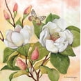 thumbnail image 1 of IHR Serviettes en Papier de Luxe 3 Plis, Format Cocktail Boisson 20 Unités, Magnolia Grace, 1 of 1