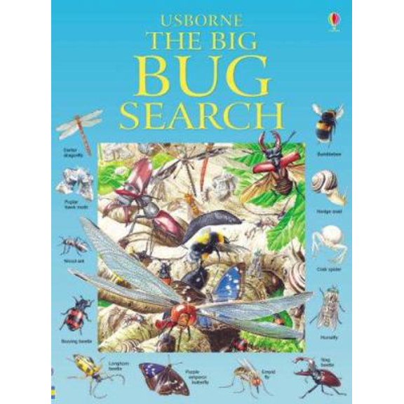 Pre-Owned Big Bug Search (Paperback) 0746067720 9780746067727