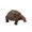 B, variant on IROINID Tortoise Animal Figurines Toys Home Decorate Preschool Educational