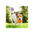 thumbnail image 2 of Juguete Para Perro De Caucho Pelota Acanalada Fancy Pets Fancy Pets PELOTA, 2 of 2