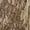 Mossy Oak Bottomland, variant on Mossy Oak Bottomland Youth Stretch Cargo Hunting Pant
