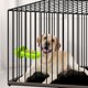 thumbnail image 3 of Herramienta de entrenamiento para jaulas para perros, dispensador de golosinas para perros, soporte para golosinas para jaulas para cachorros, 3 of 3