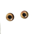 thumbnail image 3 of Brown Dog Glass Eyes, 3 of 5