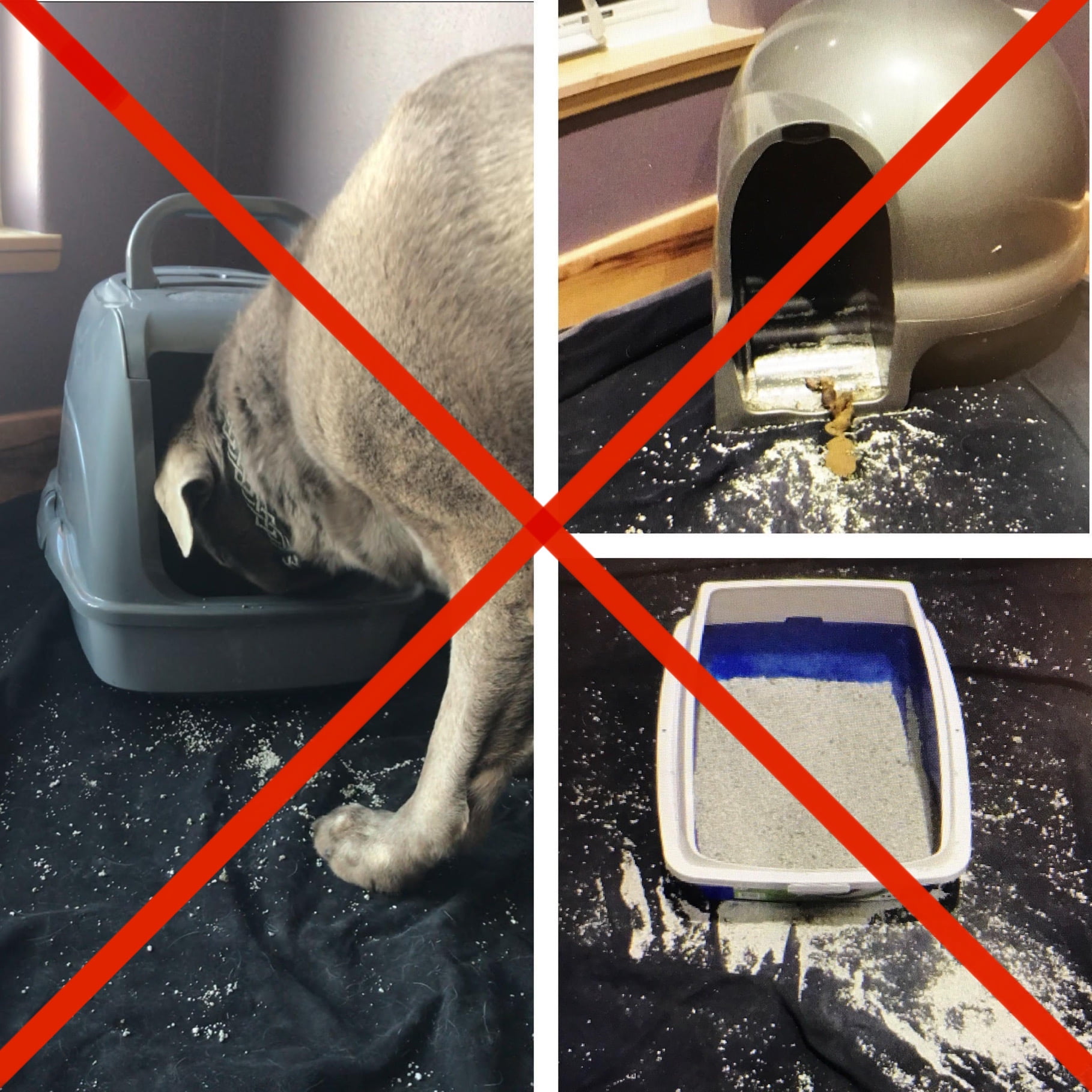 The Grate Litter Box