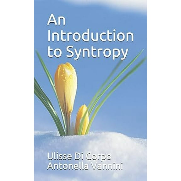 An Introduction to Syntropy (Paperback)
