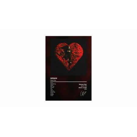 Conan Gray Superache Album Poster, One Sheet Wall Size 24''x36''-Gategoo