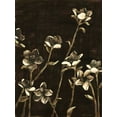 thumbnail image 2 of Meagher, Megan 15x18 White Modern Wood Framed Museum Art Print Titled - Medium Blossom Nocturne II, 2 of 4