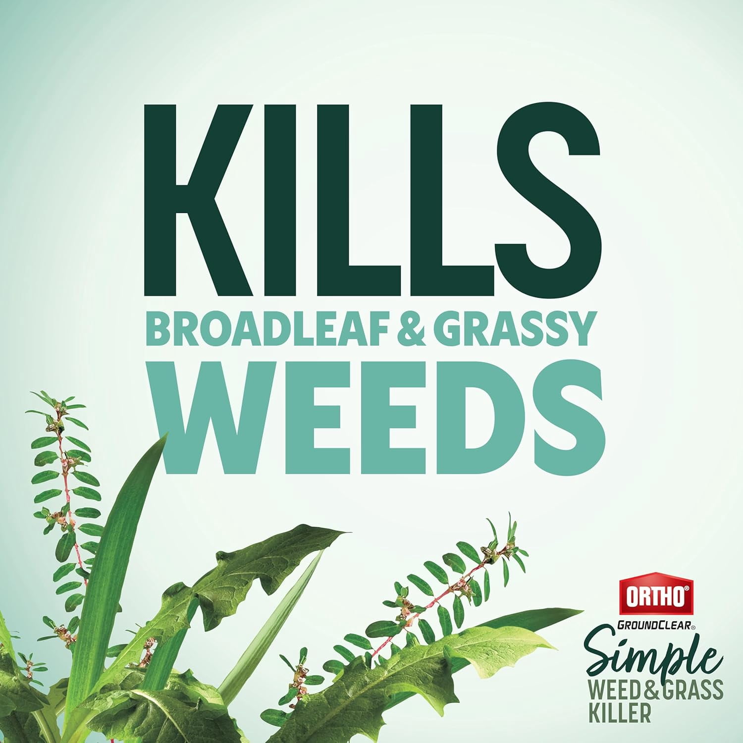 GroundClear Simple Weed and Grass Killer, Kills All Types of Weeds Grasses, for Gardens, Patios, More, 1.5 L