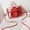 Red, variant on Clear Purses For Women & Men-PVC Messenger Handbag Transparent Crossbody Purse Bag For Concert Sports Events & Amusement