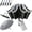 Gray, variant on StormGuard Reverse Umbrella, Compact Automatic Folding Umbrella Umbrella, Windproof Portable Rain Umbrella With Uv Protection, Reverse Inverted Design, Mini Lightweight Umbrella For Everyday Use