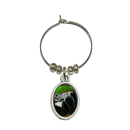 Parrot Wine - Parrot Eye - Blue Green Orange Oval Wine Glass Charm
