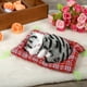 thumbnail image 3 of Juguete con sonido de gatito 1 Uds Mini simulación súper con sonido de gatitos durmiendo gatos muñecos de peluche regalo de Navidad ANGGREK Otros, 3 of 3