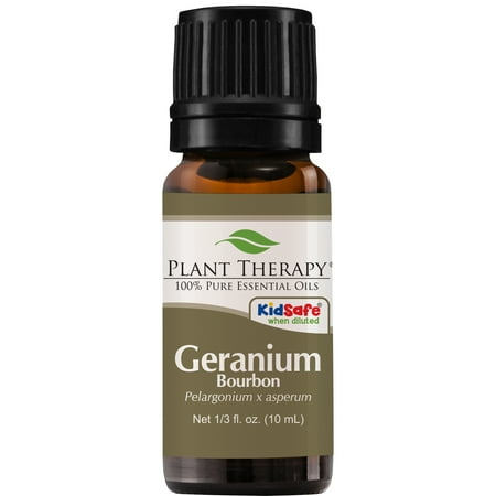Aromatherapy Oil Geranium Plant Therapy Geranium Bourbon Essential Oil | 100% Pure, Undiluted, Natural Aromatherapy, Therapeutic Grade | 10 mL ()