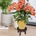 thumbnail image 4 of Rawiri SUREH - Soporte de madera para plantas, pequeño macetero redondo, taburete de madera para interior y exterior, soporte para plantas, decoración rústica, 4 of 8