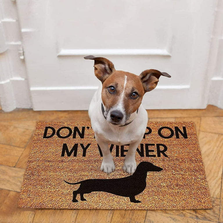 Funny Dachushund Dog Doormat Don't Step On My Doormat Dachushund Dog Funny  Dogs Theme Doormat For Entrance Way Welcome Mat With Slip Rubber Back  Kitchen Rugs 