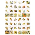 thumbnail image 2 of Pegatinas Temáticas, Pegatinas Para álbumes De Recortes Duraderas 100 Piezas Para Manual, 2 of 8