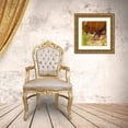 thumbnail image 3 of Popcorn 26x26 Gold Ornate Wood Framed with Double Matting Museum Art Print Titled - Big Horn Sheep Lamb, 3 of 4