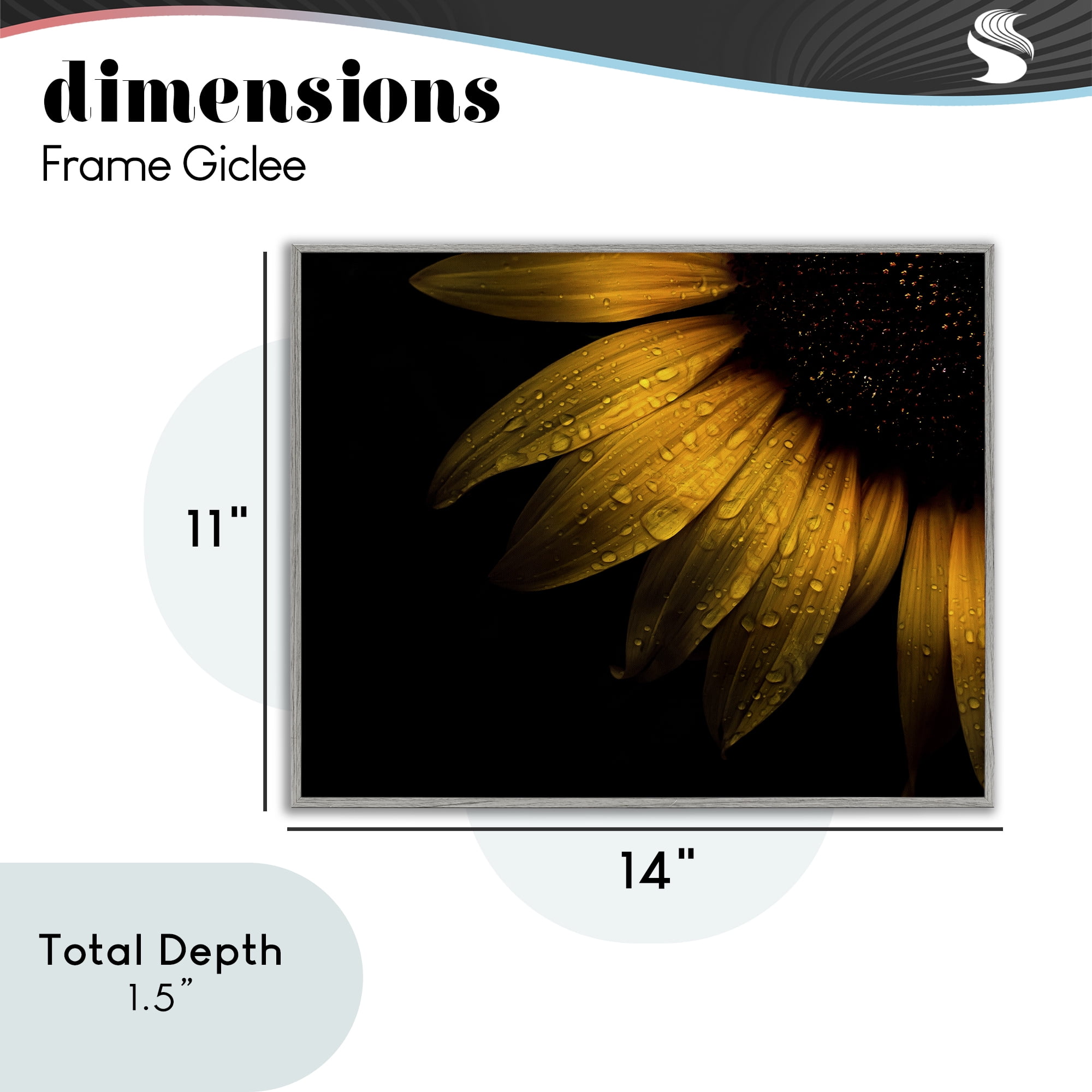 Water Droplets on Sunflower Gray Framed Giclee Art, design by Brian Carson Photography