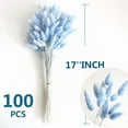 thumbnail image 2 of 120 PCS Blue Dried Pampas Grass Decor, 17-inch Pompas Floral, Dry Flowers for Decoration, Pampas Grass in Bulk Tall, Blue Bunny Tails Dried Flowers for Boho Wedding Decor, 2 of 10