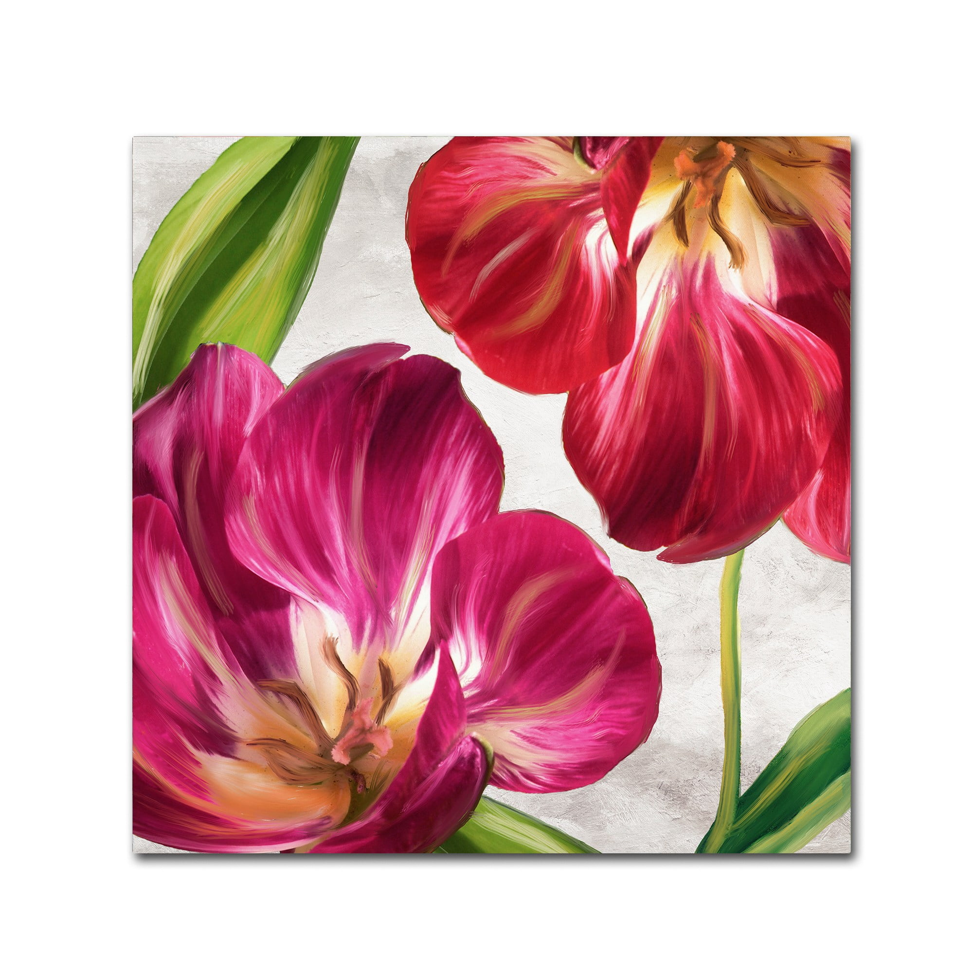 Trademark Fine Art "Open Arms I" Canvas Art by Color Bakery