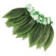 thumbnail image 5 of unbranded Falda De Hojas Ti Hula Con Artificiales Para Luau, 5 of 8
