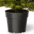 thumbnail image 1 of Arbuste Artificiel de Pomme Comprend la Base de Pot Buisson de Genévrier, 15 Pouces, 1 of 4