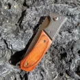 Outdoor Utility 7CR13 Knife Stainless Steel and Colored Wood Handle Pocket Folding Knife