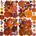 thumbnail image 1 of Paquete de Flores Secas YouthBro 141PCS Mariposas de Otoño Marrón DIY, 1 of 7