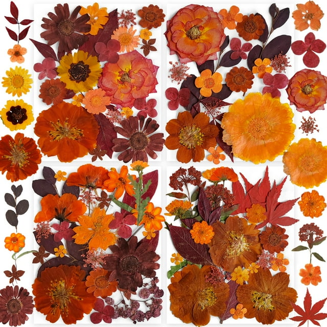 Paquete de Flores Secas YouthBro 141PCS Mariposas de Otoño Marrón DIY