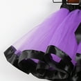 thumbnail image 3 of Vividxx Toddler Girls Tutu Skirt Set With Hat And Broomstick 3 Pcs Dress Up Hallowmas Outfits 2-4 Years, 3 of 4