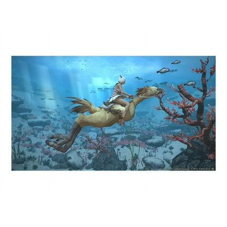 Final Fantasy XIV: Stormblood Standard Edition - Windows