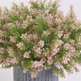 thumbnail image 4 of Wosthever Trébol artificial de cuatro hojas para el hogar y la oficina, planta falsa, adorno para fiesta de boda, planta de trébol Plantas Artificiales rosado Wosthever HA6709-02B, 4 of 6